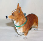 Immagine di Welsh Corgi