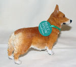Immagine di Welsh Corgi