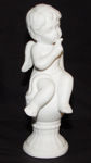 Immagine di White angel finger