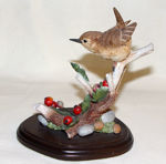 Immagine di Wren with Howthorn Berries