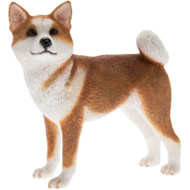 Immagine di AKITA