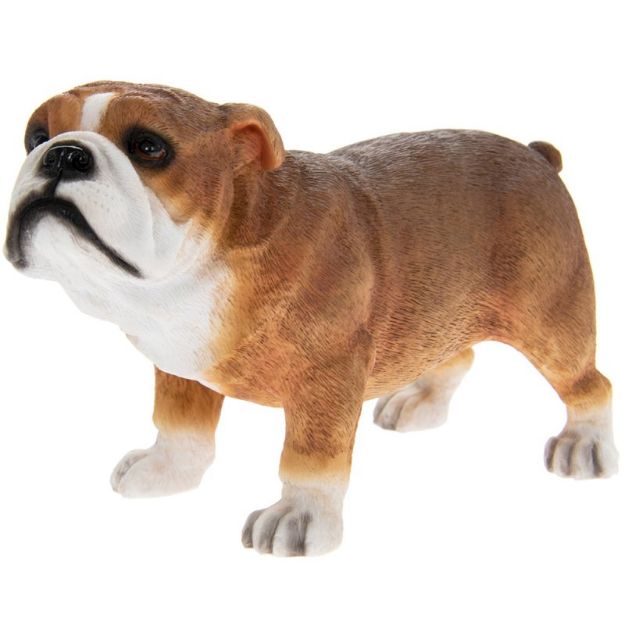 Picture of BULLDOG