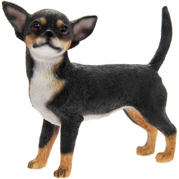 Picture of CHIHUAHUA - copia