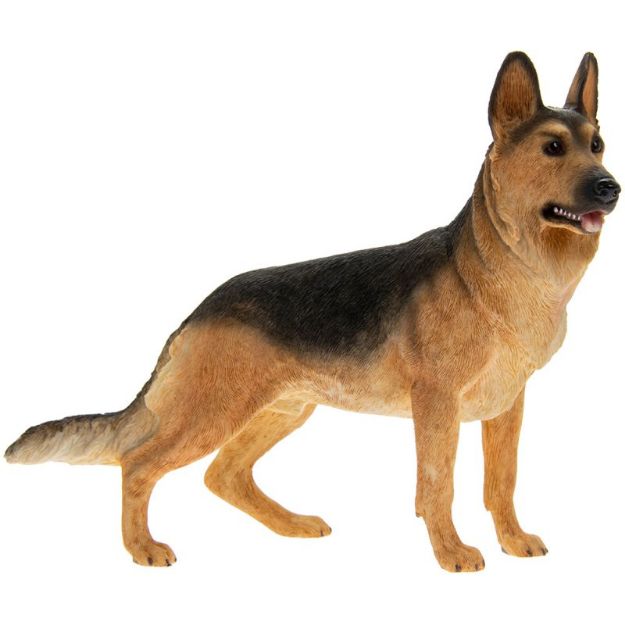 Picture of GERMAN SHEPHERD