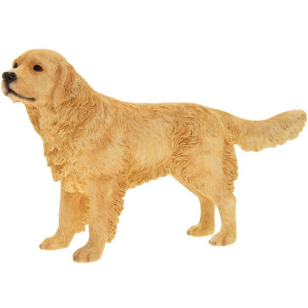 Picture of GOLDEN RETRIEVER