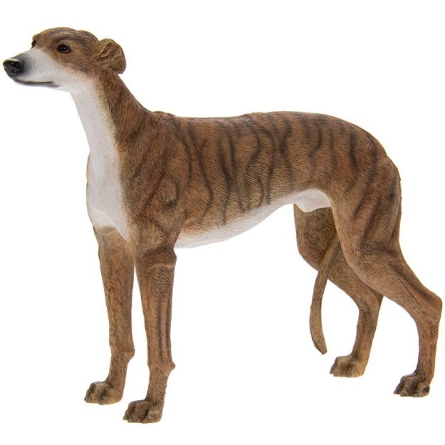 Picture of GREYHOUND BRINDLE