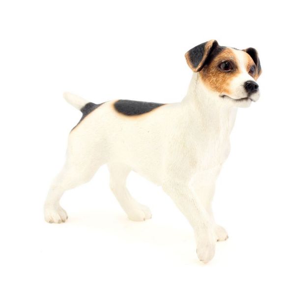 Picture of JACK RUSSELL TERRIER