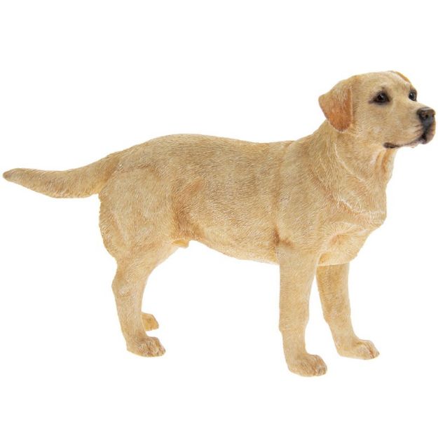 Picture of LABRADOR GOLDEN