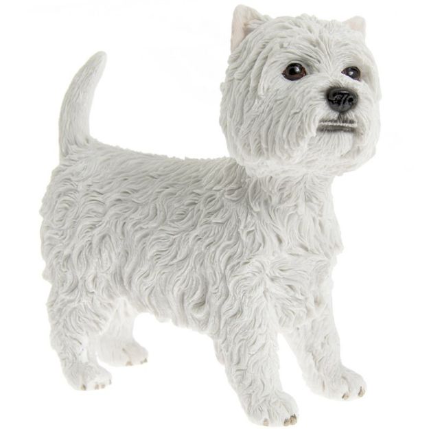 Picture of WEST HIGHLAND TERRIER