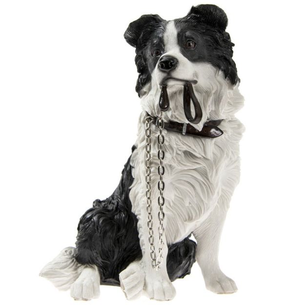 Picture of WALKIES BORDER COLLIE SITTING