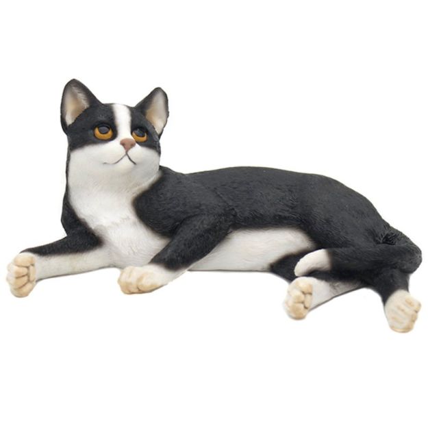 Immagine di CAT LAYING BLACK & WHITE