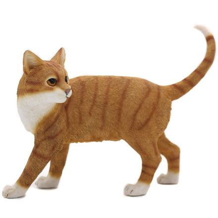 Picture of CAT STANDING GINGER & WHITE