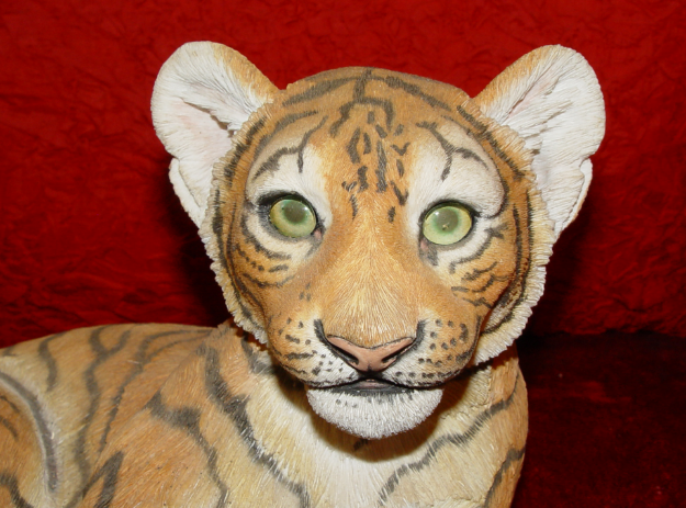 Immagine di Tiger Cup - Young & contented Lying