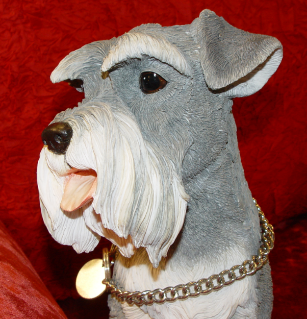 Immagine di Schnauzer