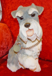 Immagine di Schnauzer