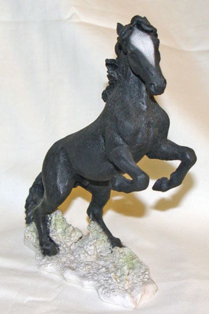 Picture of Black Horse