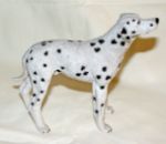 Picture of Dog - Dalmata