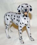 Picture of Dog - Dalmata