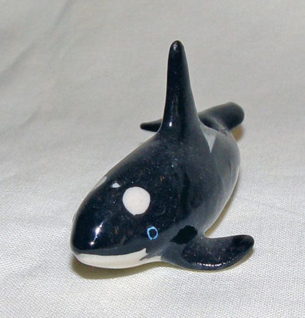Immagine di Killer Whale
