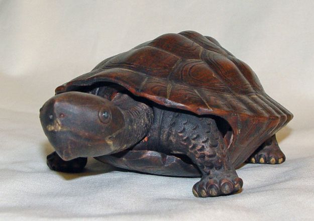 Immagine di Turtle