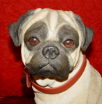 Immagine di Pug