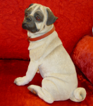 Immagine di Pug
