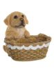 Picture of FIGURE RESIN DOG 