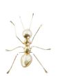 Picture of FIGURE RESIN METAL ANT