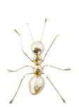 Picture of FIGURE RESIN METAL ANT