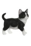 Picture of FIGURE RESIN CAT 